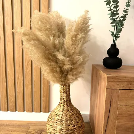 Pinetree * ヤホリナ