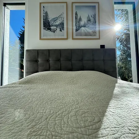 Pinetree 亚霍里纳